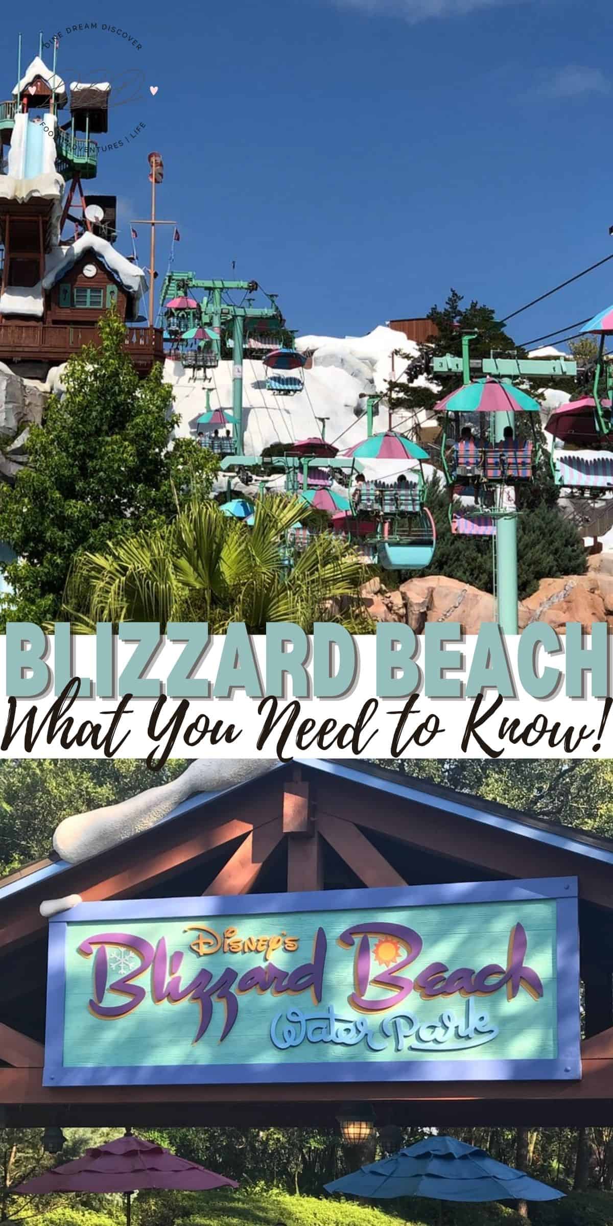 Blizzard Beach Reopened at Disney World 