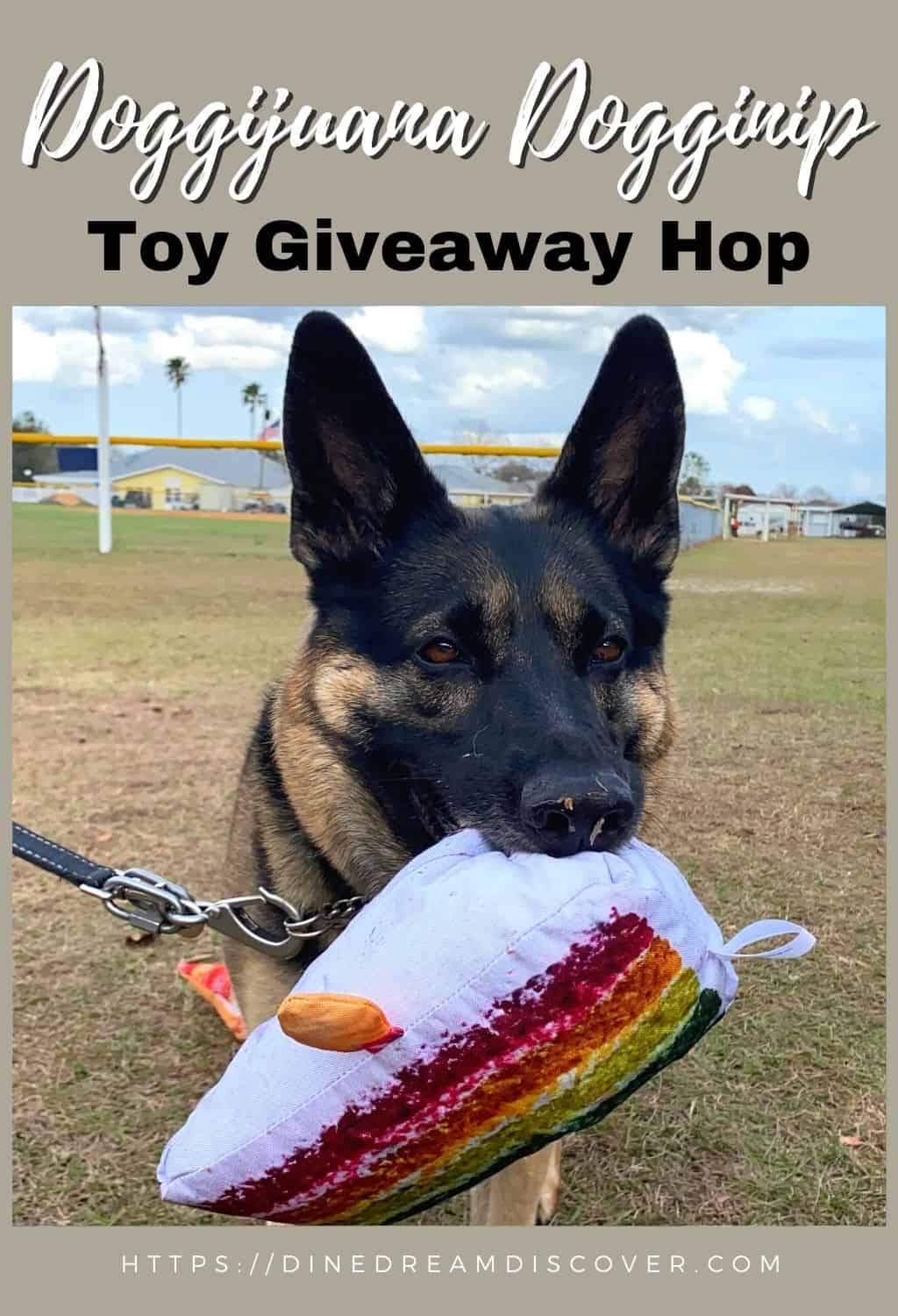 dog toy giveaway