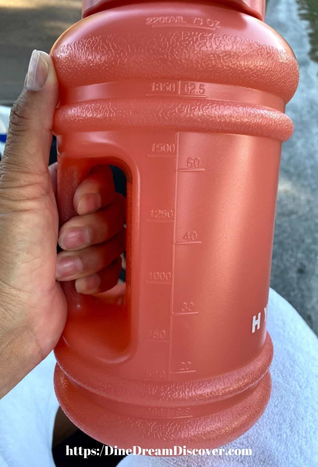 HydroJug Reasons You Need One Dine Dream Discover