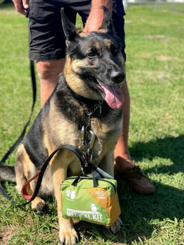 Dog Hiking Safety Tips