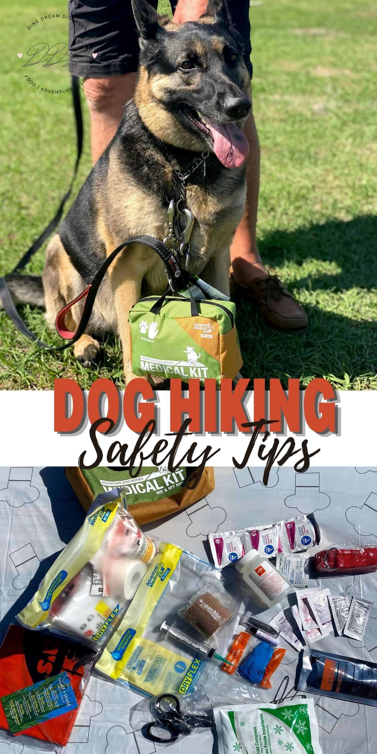 Dog Hiking Safety Tips