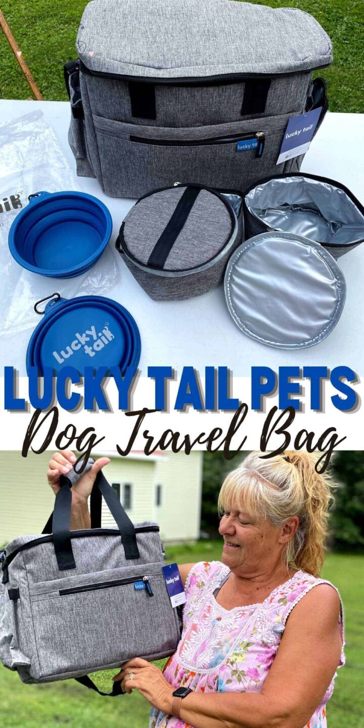 Dog Travel Bag Dog Travel Made Easy Dine Dream Discover