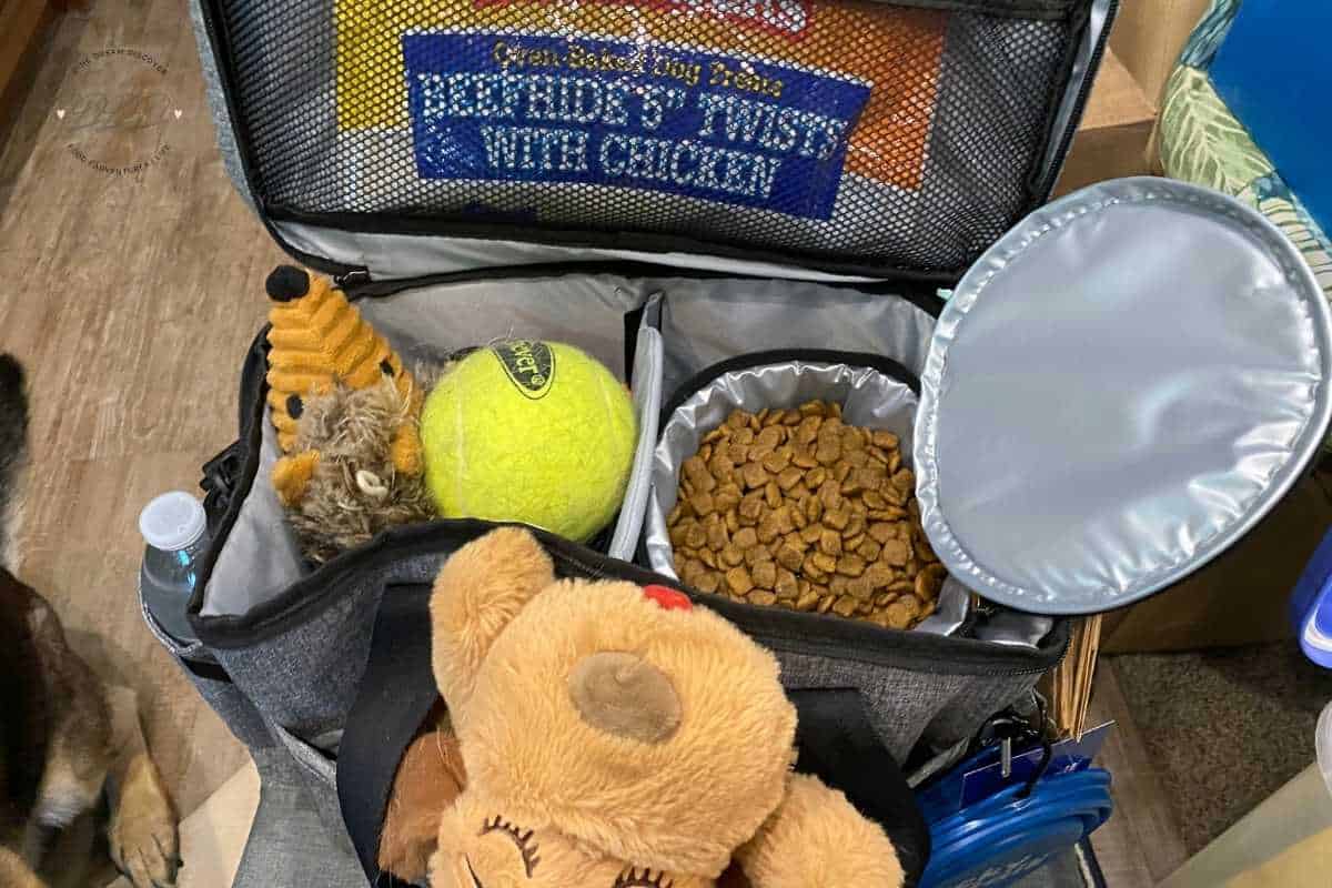 Dog Travel Bag