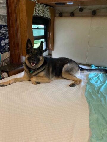 The BEST Replacement RV Mattress