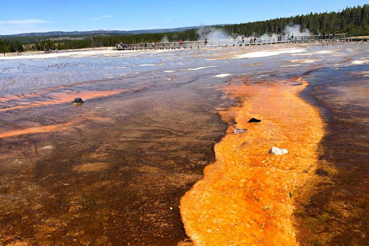 YELLOWSTONE NP