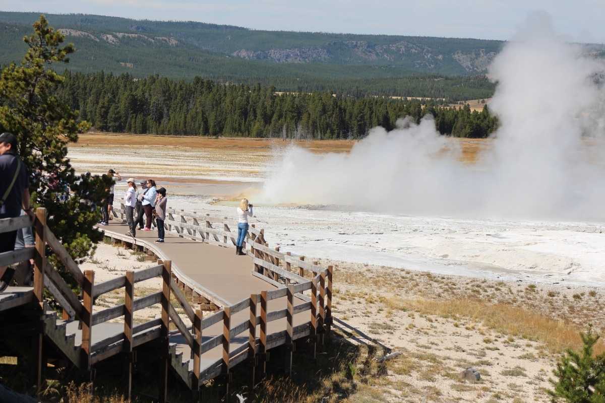 YELLOWSTONE NP