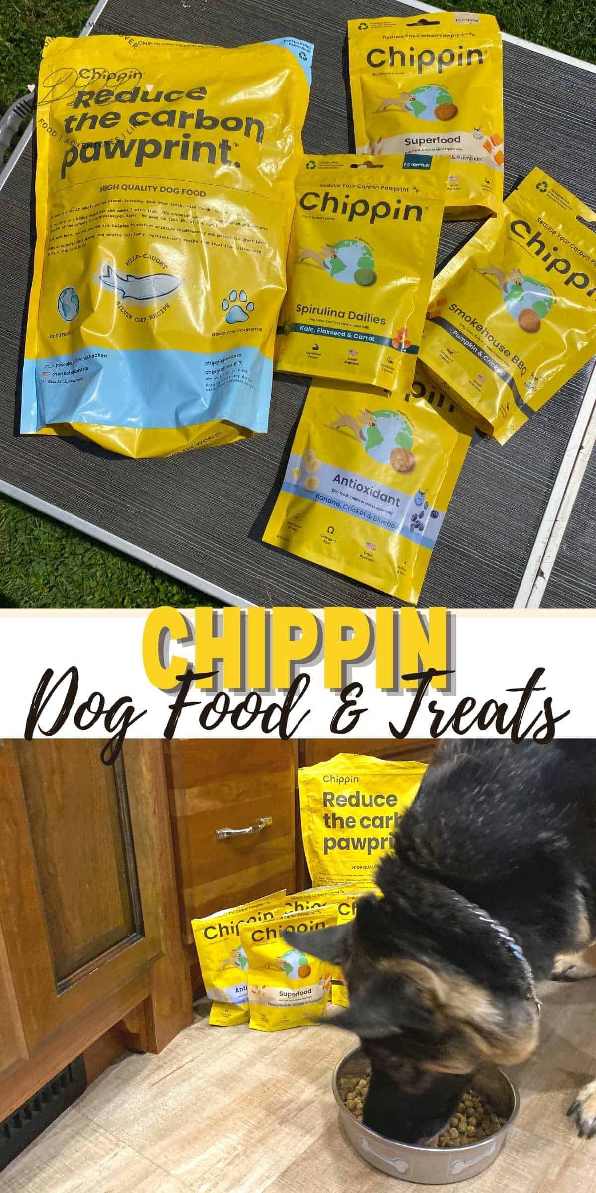 Chippin Dog Food and Cricket Treats Every Dog Will Love