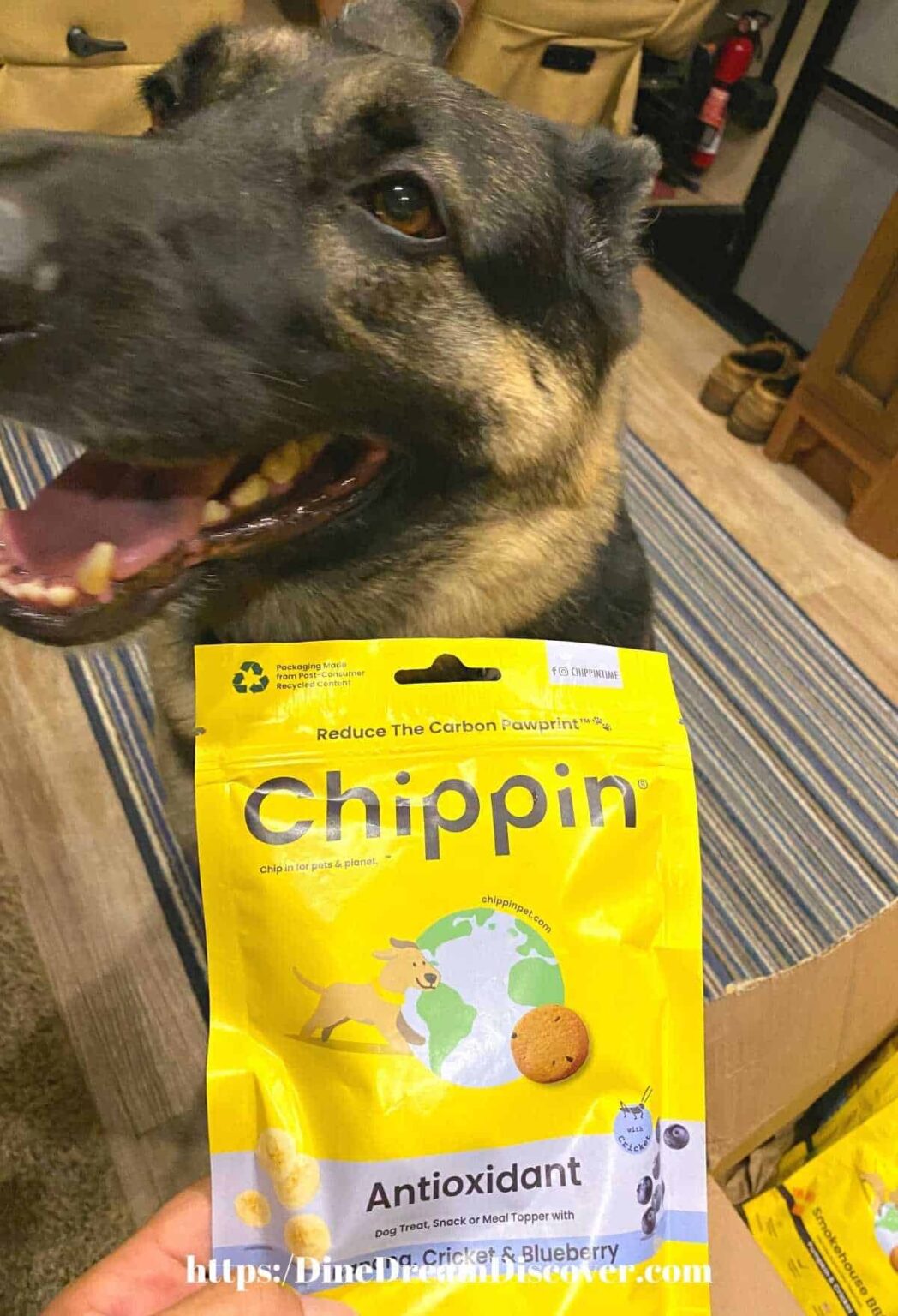 Chippin Dog Food and Cricket Treats Dine Dream Discover