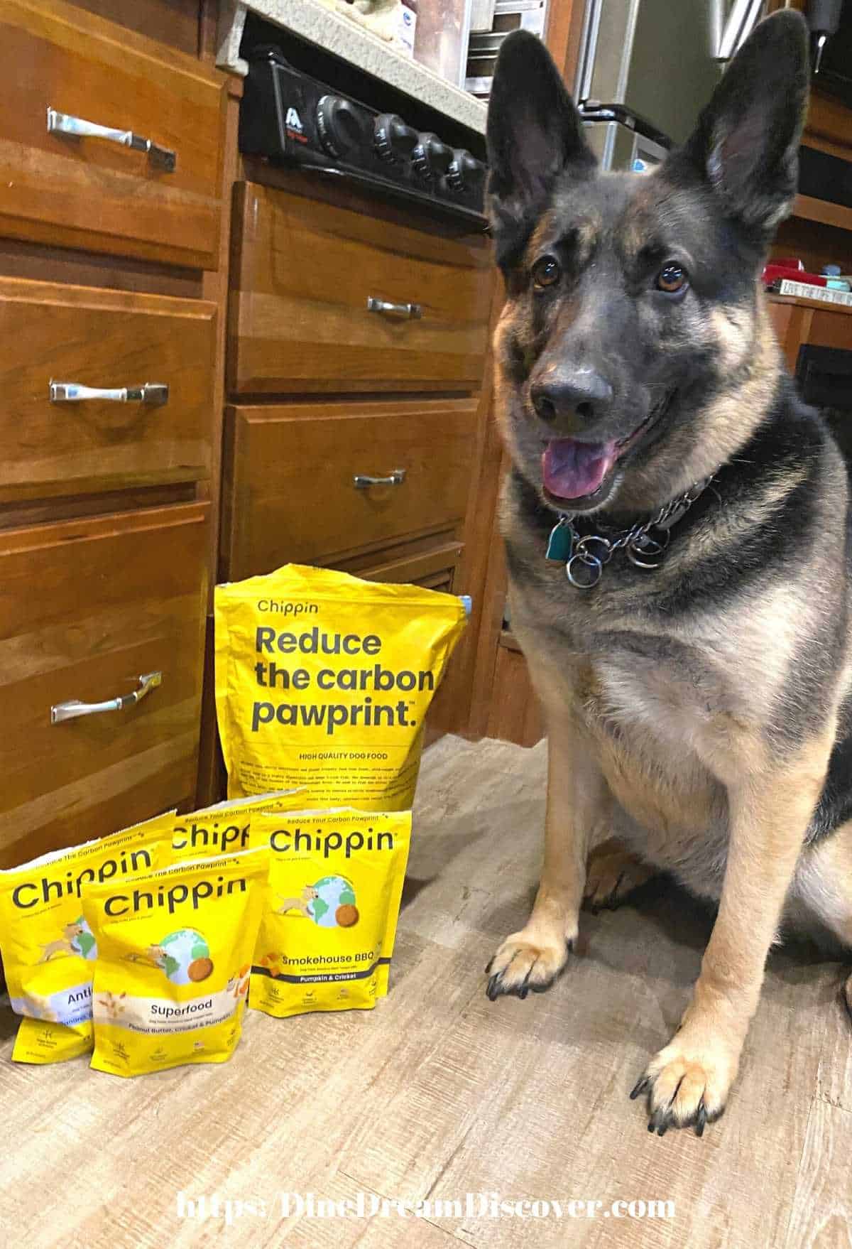 Chippin Dog Food and Cricket Treats Every Dog Will Love