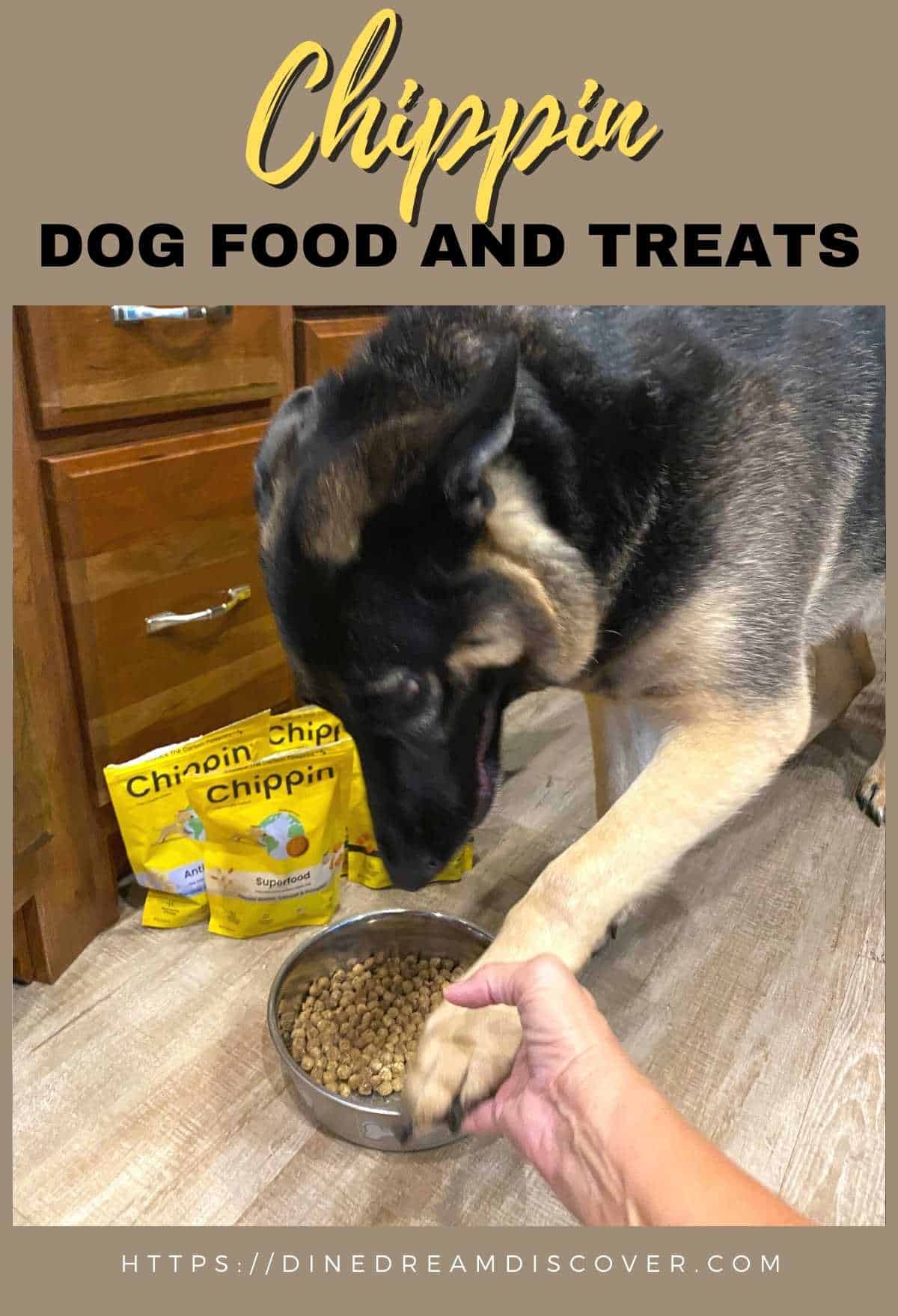 cricket protein for dogs