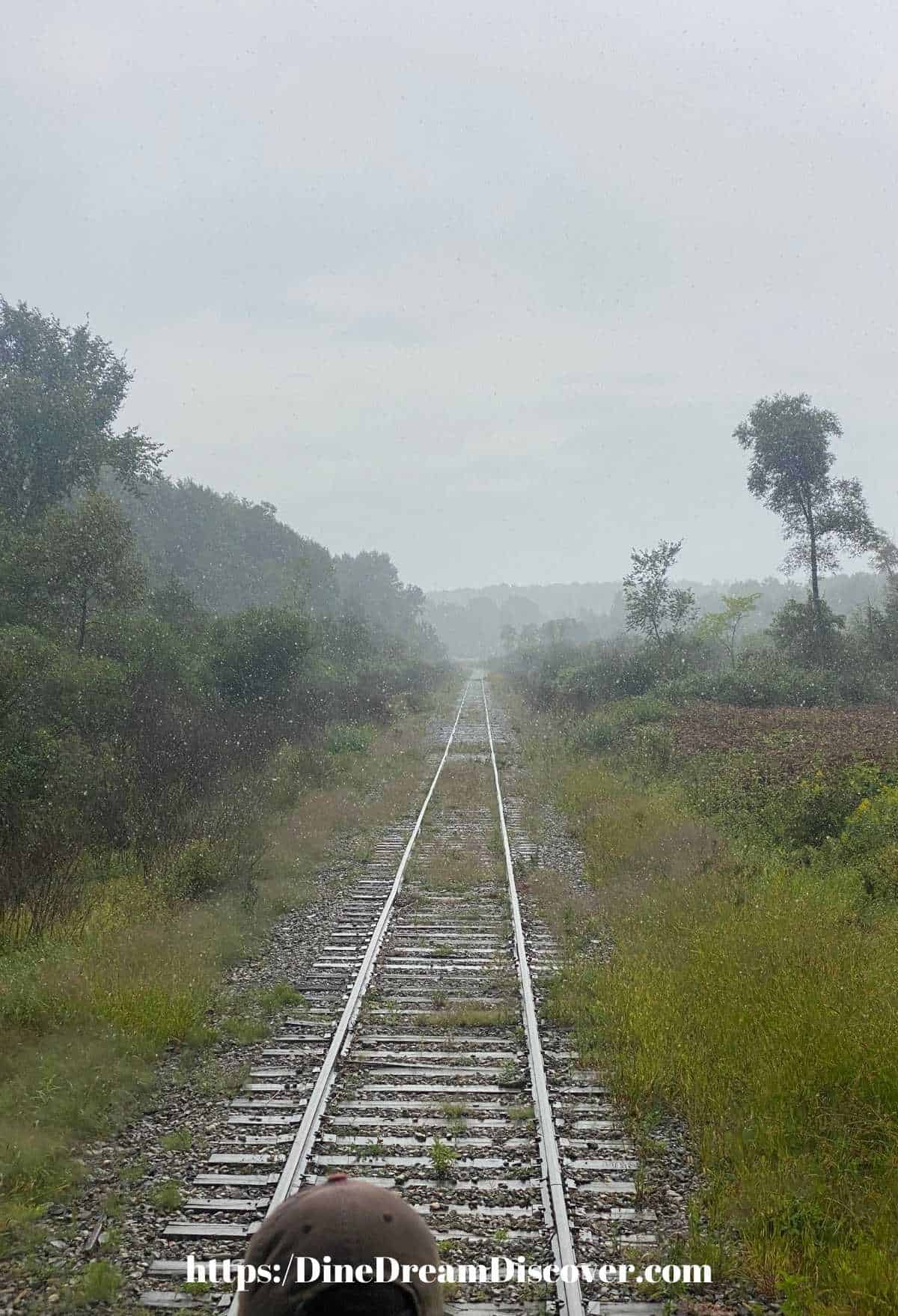 Step back in time aboard the Attica Arcade Railroad Train 