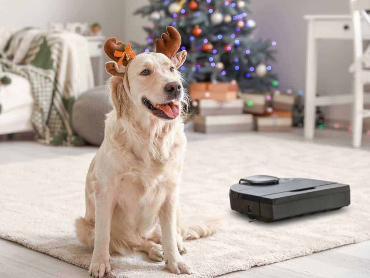 Give the Gift of Clean with Neato Intelligent Robot Vacuum