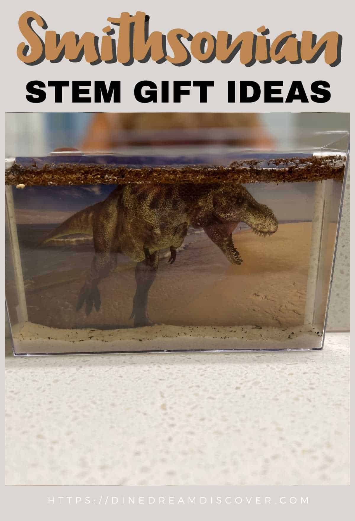 Smithsonian STEM Gift Ideas