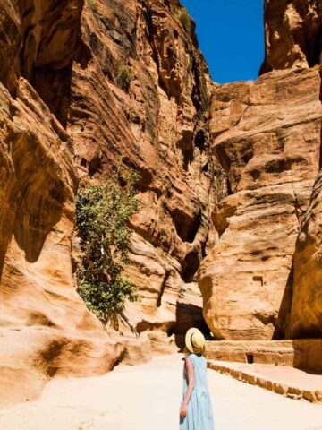Why Study Shouldn't Be the Reason to Quit an Adventurous Life