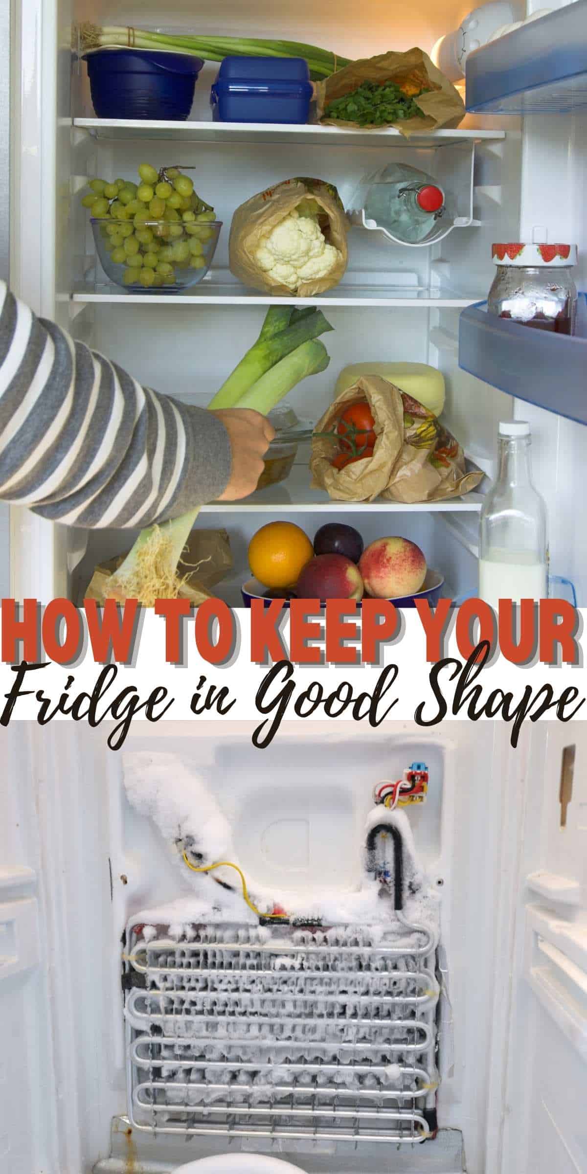 How to Keep Your Fridge in Good Shape