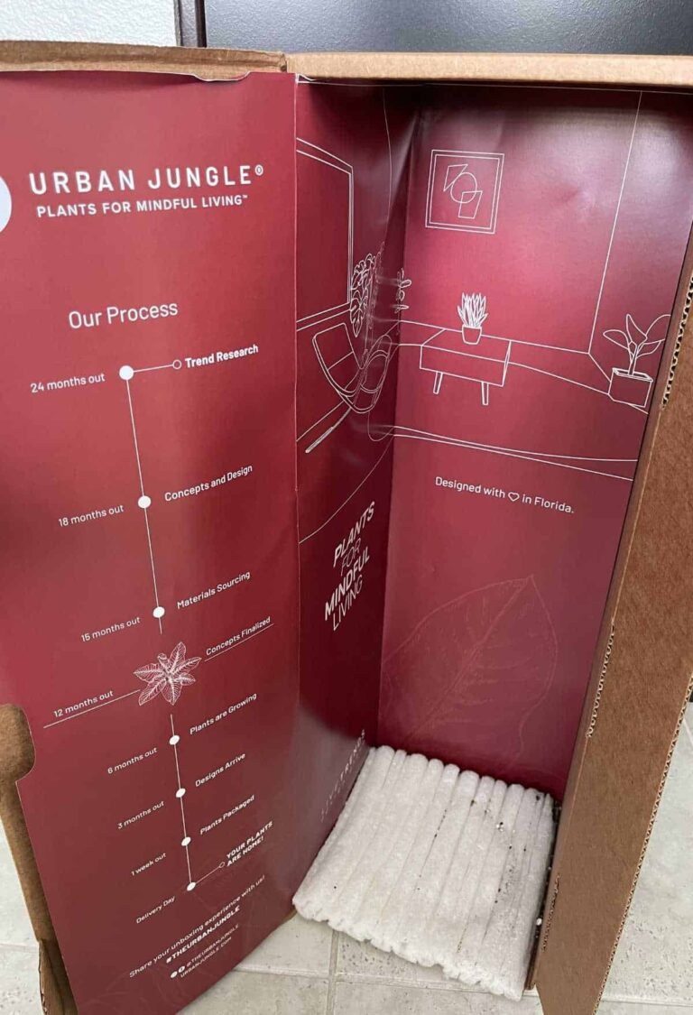 Best Indoor Plants Online Plant Delivery Dine Dream Discover