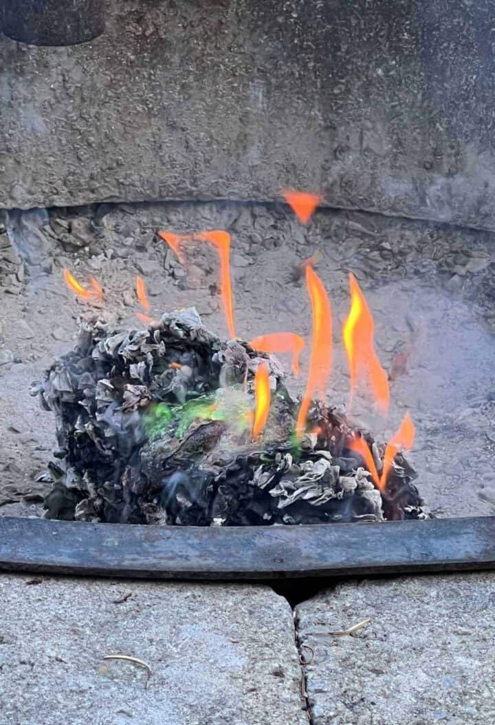 Burn safe with Envirologs Its Illegal to Transport Firewood Dine