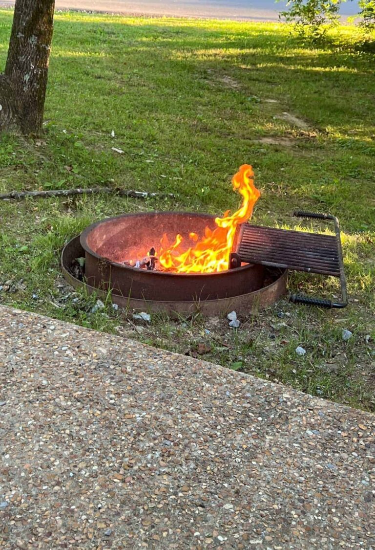 Burn safe with Envirologs Its Illegal to Transport Firewood Dine