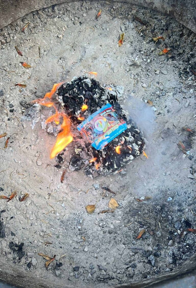 Burn safe with Envirologs Its Illegal to Transport Firewood Dine