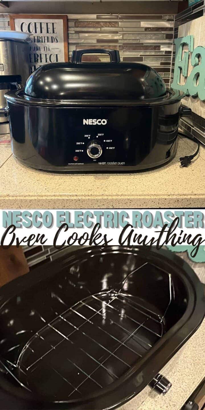 Nesco Electric Roaster Oven Cooks Anything Dine Dream Discover