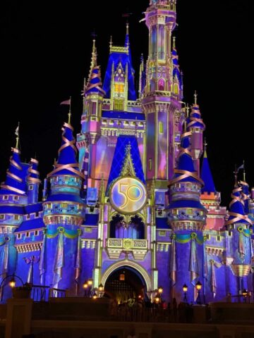 Best Time to Visit Walt Disney World in 2022