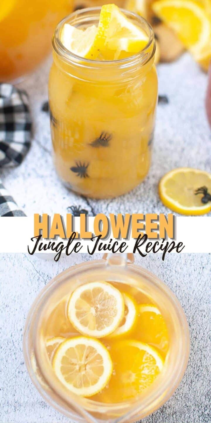 Best Halloween Jungle Juice Recipe Dine Dream Discover