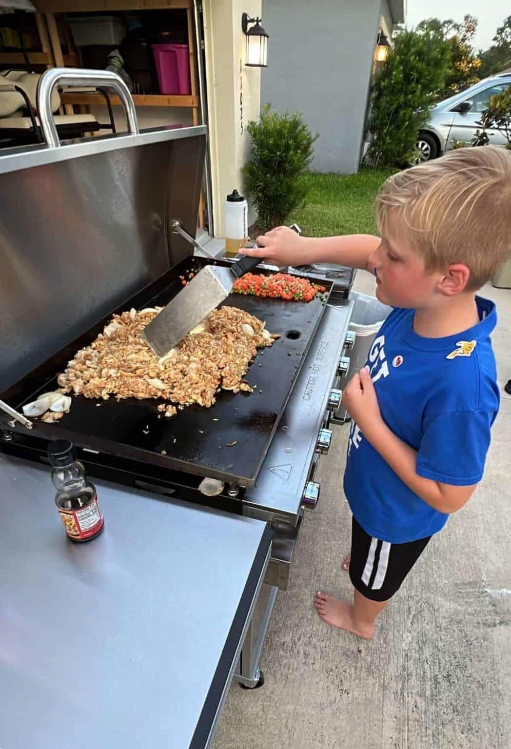 Chicken Fried Rice on the Blackstone | Dine Dream Discover