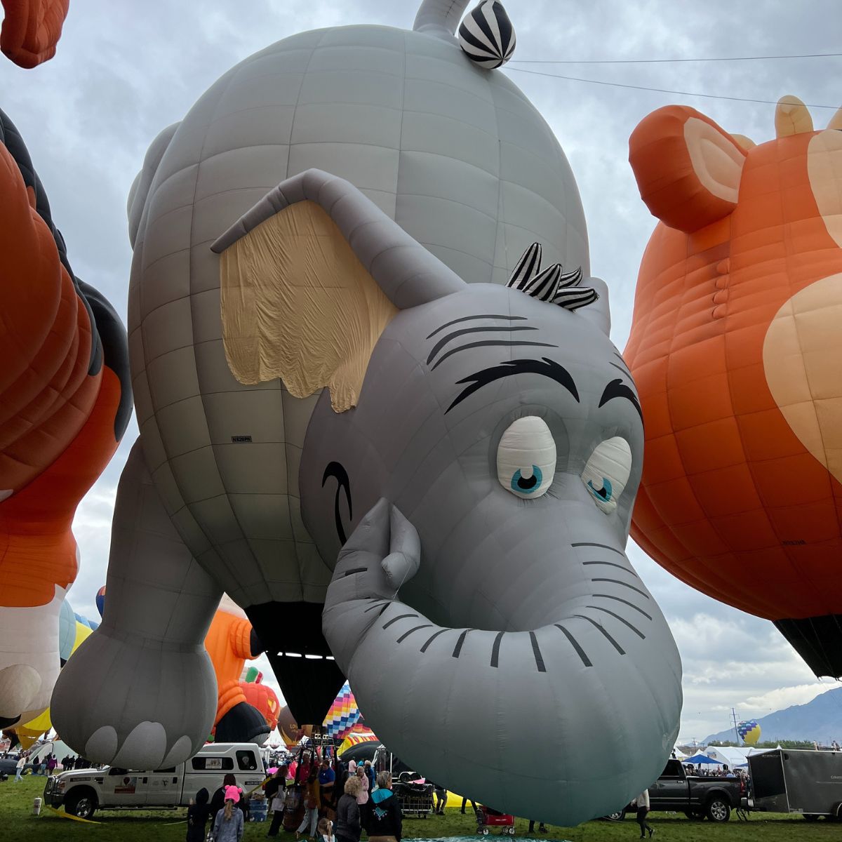 elephant hot air balloon